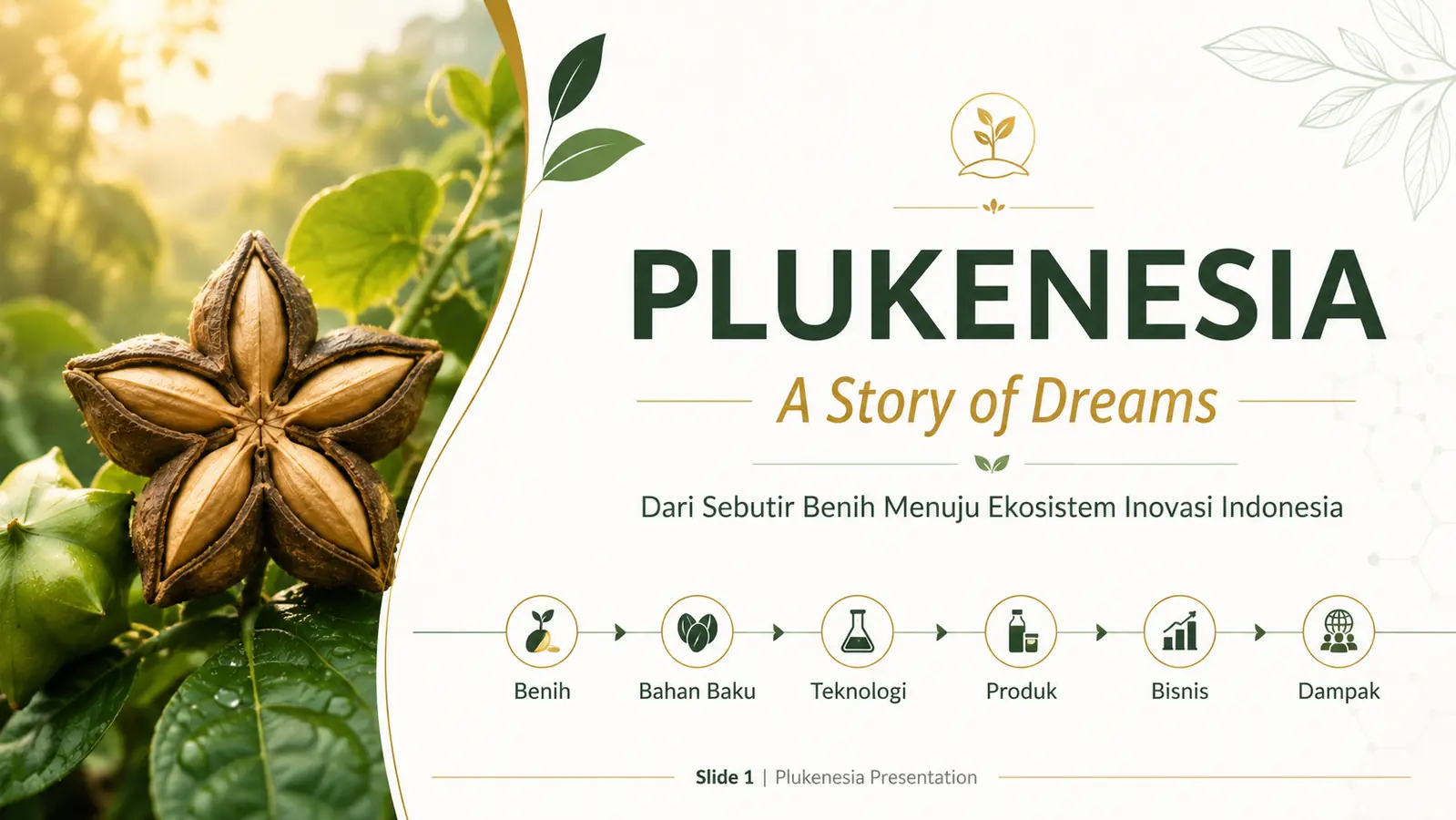 Slide 1: PLUKENESIA — A Story of Dreams