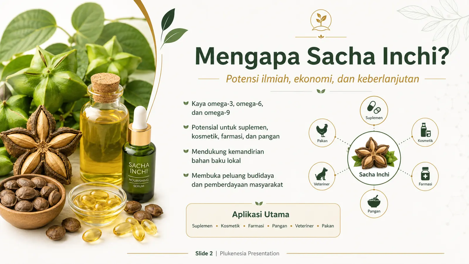 Slide 2: Mengapa Sacha Inchi?