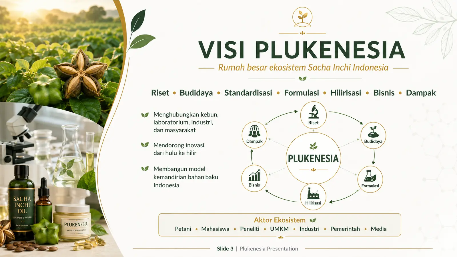 Slide 3: Visi Plukenesia