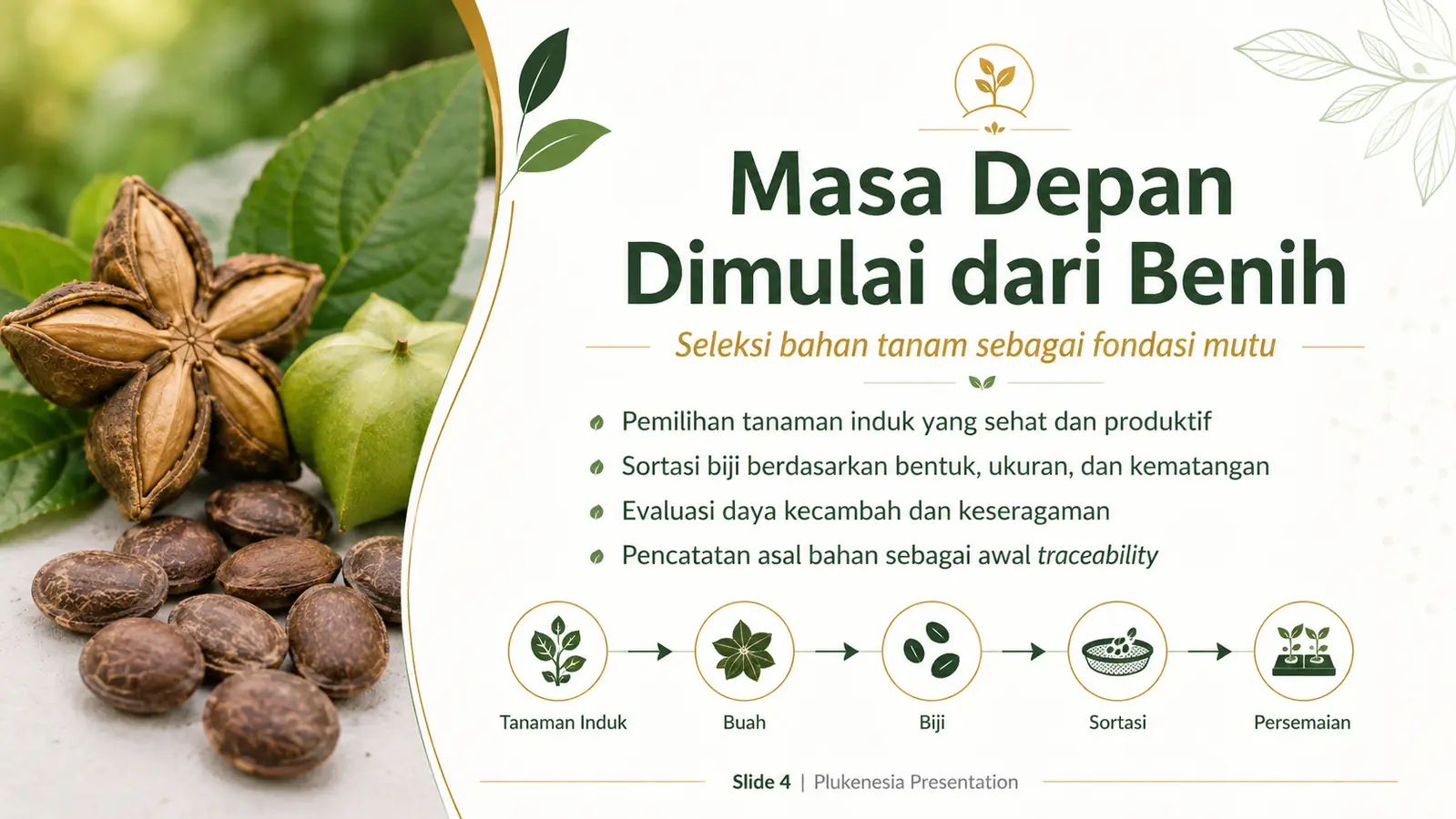 Slide 4: Masa Depan Dimulai dari Benih