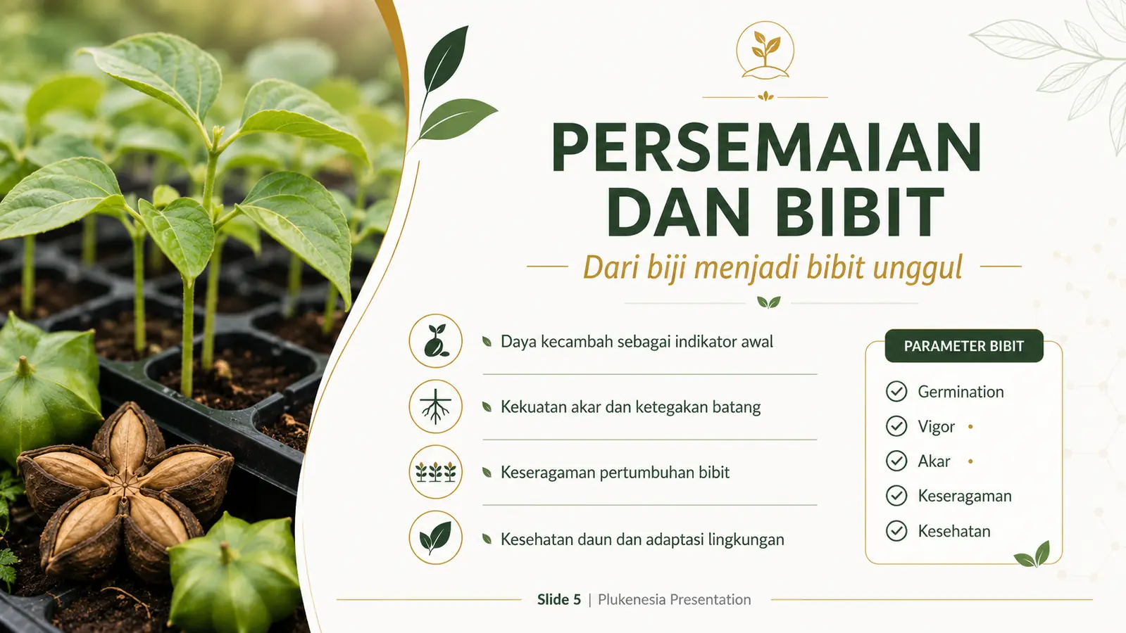 Slide 5: Persemaian dan Bibit