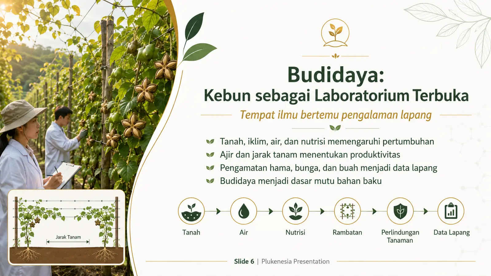 Slide 6: Budidaya: Kebun sebagai Laboratorium Terbuka