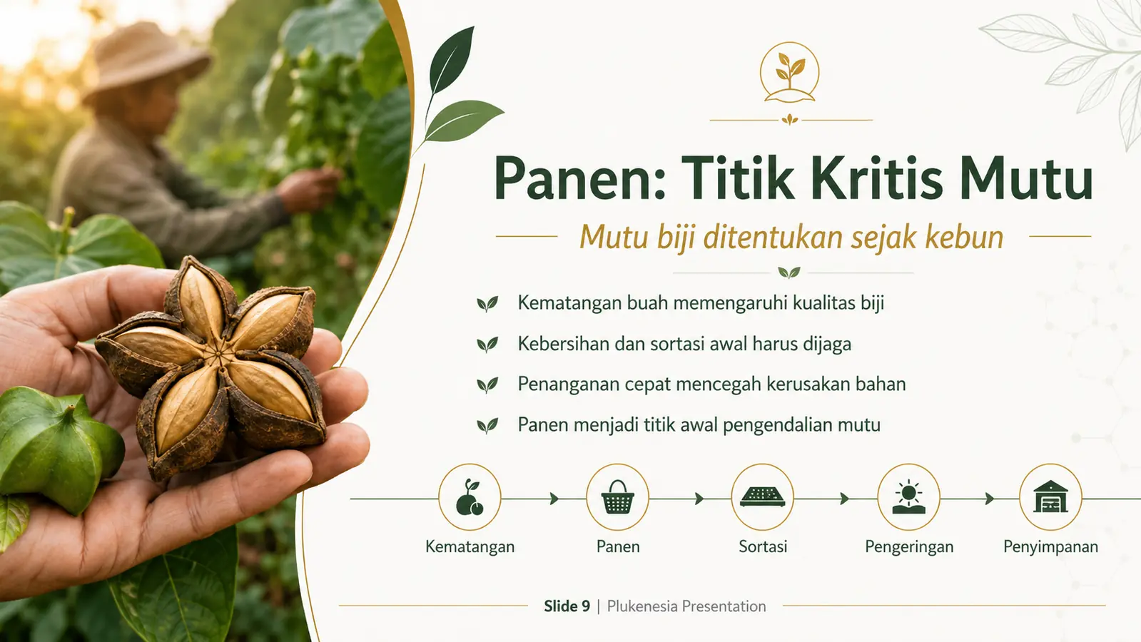 Slide 9: Panen: Titik Kritis Mutu